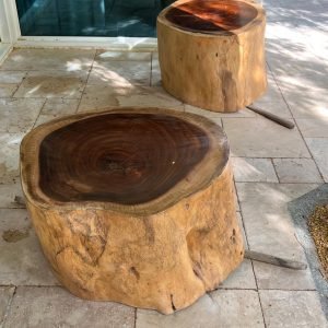 Qurma Ficus Stump Coffee Table